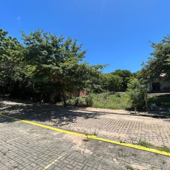 Terreno Condomínio Flores da Mata